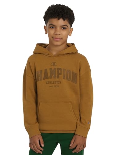 Image of Champion boys Graphic Hoodie Pullover Sweatshirt for Kids With Stylish Embellishments