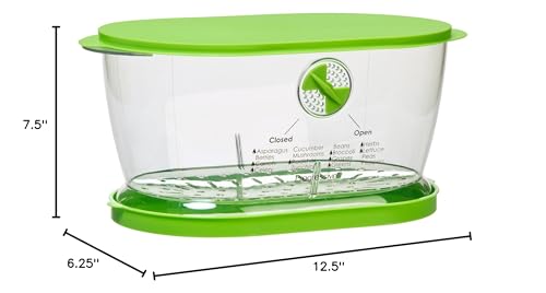 Prep Solutions by Progressive Lettuce Keeper Produce Storage Container, 4.7 Quarts, Green (LKS-06)