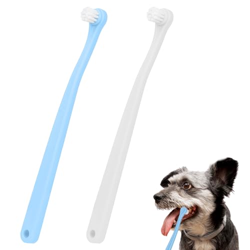 Brosse à dents pour chien et chat en lot de 2 mini brosses bicolores