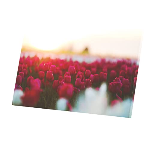 Affiche poster champ de tulipe rouge pour créer un salon lumineux et chaleureux