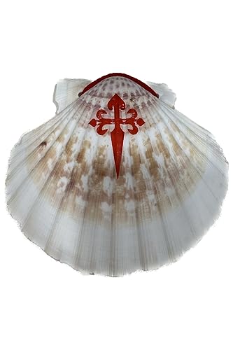 CONCHA PEREGRINO CAMINO DE SANTIAGO CON CORDÓN ROJO