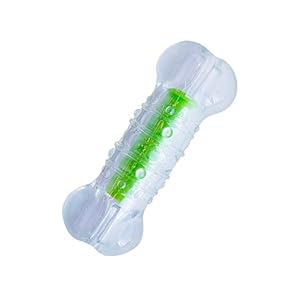 Petstages Crunchcore Bone Water Bottle Alternative Dog Chew Toy, Large