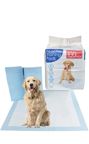 Bargain Factory - Pet Potty Training Pads Pack of 50 for Dogs Puppy Pads - Super-Absorbent 5 Layers Waterproof - 56 x 56 cm - Disposable Puppy Pee Pads
