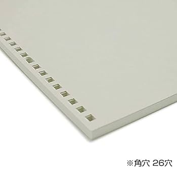 5名さま　A4サイズ　10月末まで 楽天市場】受発注商品 セキセイ azonx アゾン クリアポケット B5