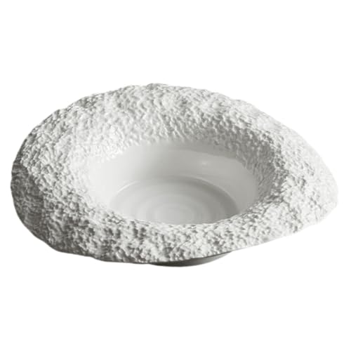 VALICLUD Plato de para Cocina con Diseño de Roca Plato para Servir Pasta Ensaladas y Sopas Reuniones Familiares y Restaurantes