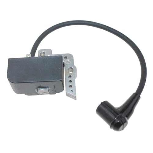 Module d'allumage Echo pour résoudre les problèmes de démarrage à chaud - 6