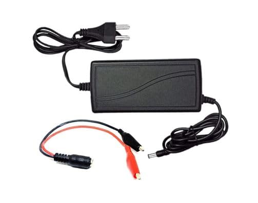 Sp Electron Pack Of 1 Pcs 12V 5A Dc 2 Pin Power Supply Dc Adaptor Ac To Dc Converter Smps With Dc Jack Alligator Clip,Black-image-26