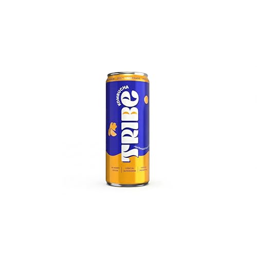 Image of Tribe Kombucha Probiotic Super Drink | Supports Gut Health | Gluten-Free | Naturally Fermented | Super Refreshing | Gut Friendly | Improves Blood Sugar | Antioxidant and Hydration | No Added Sugar |250 ML X 2 (OG CLASSIC + ZESTY GINGERADE)