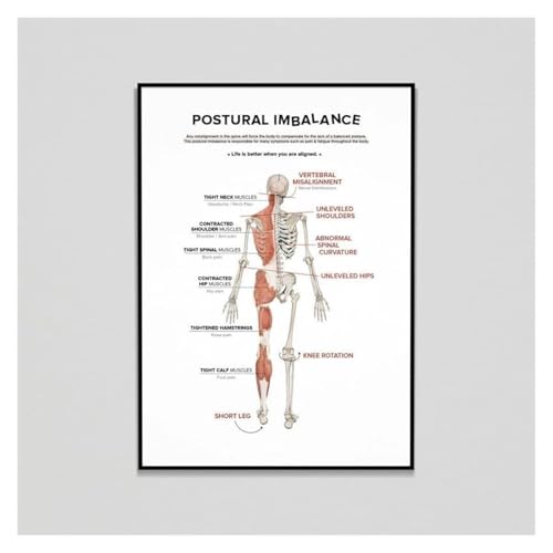 Affiche chiropratique de posture pour la décoration murale de cabinets médicaux