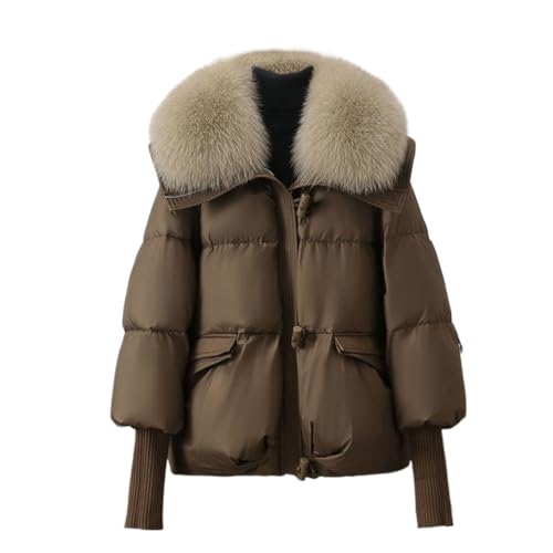 _ER[g fB[X _EWPbg fB[XR[g R[g AE^[  g  JWA  H~ h h ʊw ʋ ~ K-R[q[ XL