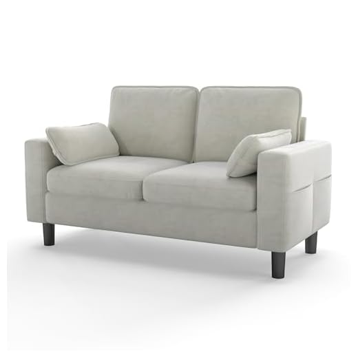 MOTION Loveseat Modern Sofa for Living Rooms