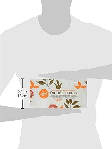 Natural Value 100% Recycled Facial Tissue, 100 2-Ply Sheets Per Box (Pack of 30)
