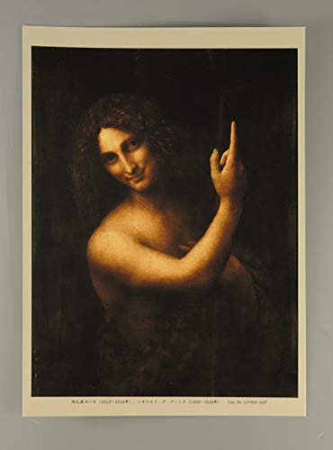 Amazon.co.jp: BiblioArt Series レオナルド・ダ・ヴィンチ『洗礼者