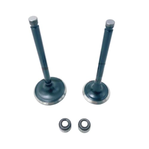 Sello de válvula de escape de alta resistencia térmica para series F 500 L