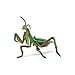 Papo -Hand-Painted - Figurine -Wild Animal Kingdom - Praying Mantis -50244 -Collectible - for Children - Suitable for Boys and Girls- from 3 Years Old