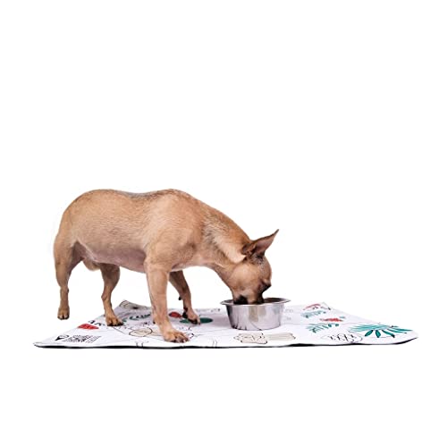 Diário Canino Mini, coleção B.ART (Bartô)