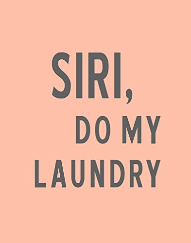 Siri Do My Laundry Needlepoint Kit