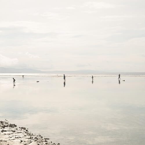 Pochette de with Time We Learned to Ask Less