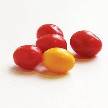 Miniatura 2 de (VTOCH)~"JELLY BEAN RED & AMARILLO" TOMATE DE UVA ~ Semillas!!!!!!~~~~¡¡¡Gemas pequeñas!!