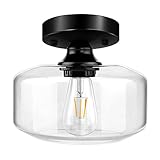Flush Mount Ceiling Light Fixtures, Glass Pendant Lamp Shade, Close to Ceiling Light Fixtures for...