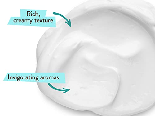 Babo Botanicals Eucalyptus Remedy Plant-Based Conditioner - With Eucalyptus, Rosemary & Pepermint - For Babies, Kids & Adults With Normal To Oily Hair - Vegan & Hypoallergenic - 6 Fl. Oz., Green #TOP7