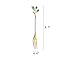 FYONE Appetizer Dessert Fruit Forks Set of 6,Stainless Steel Leaf shape Cocktail Picks Tasting Dessert Forks Kitchen Accessory Wedding Party…