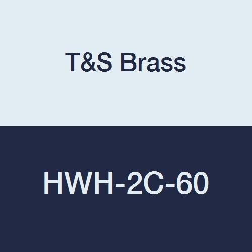 T&S Brass HWH2C60 Hot Water Hose, Male Fittings, 1/2" Diameter, 60
