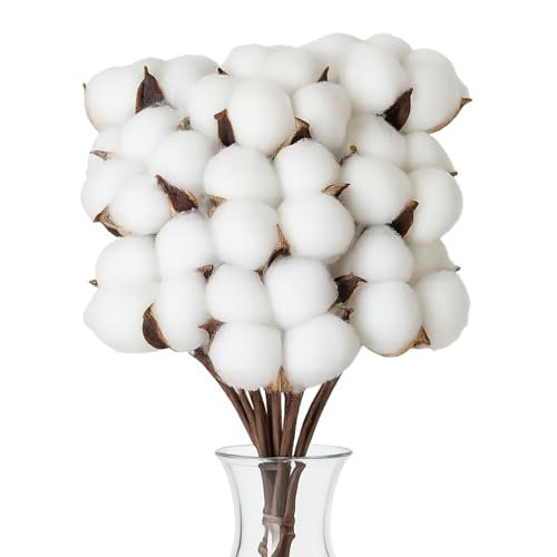 Flewdart 10 pcs Fleurs de Coton séchées Naturelles, Fleurs de Coton sechees décoration Grande Tige artificielles pour Balcon Maison Table Composition Florale