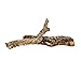 Josh's Frogs Mixed Cork Box - Flats & Tubes (10 lbs)