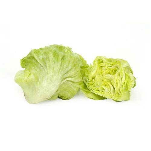 Lettuce iceburg_Vegetable_Pack of 20 seeds