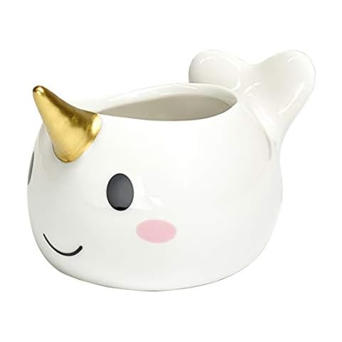 Qiuhome Cute Desk Planter Narwhal Succulent Planter Pots Small Ceramic Planter Cover