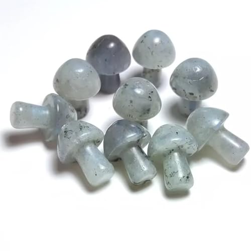 Pierres naturelles en champignon bleu pour décorer un aquarium ou une chambre zen