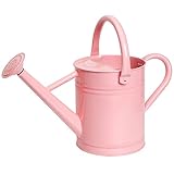 Joequality Watering Can for Outdoor&Indoor Plants，1 Gallon Metal Plant Watering Can with Detachable