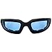 Birdz Eyewear Oriole Padded Motorcycle Glasses (Black Frame/Blue Lens)