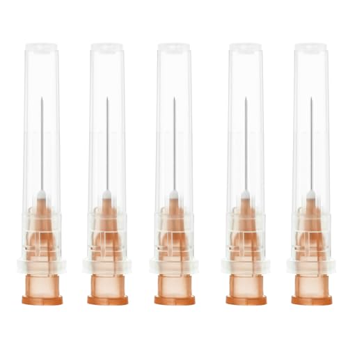 100 Stück Edelstahl Abgabe Tube mit DeckelIndustrie Laborzubehör Nadeln für Haushalt Hobby Öl Klebstoff Einzeln verpackt