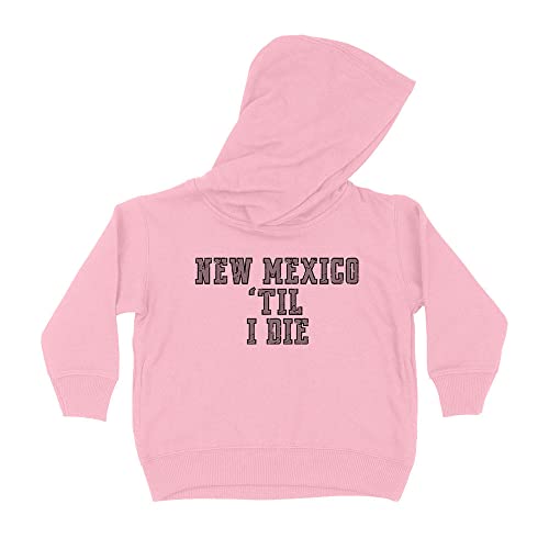 New Mexico Til I Die Kids Hoodie Sweatshirt Toddler 4T Light Pink