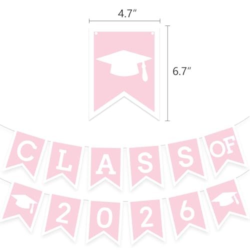 Image of Pink Graduation Party Decoration Class Banner Hanging Pom Poms Flowers High School College Grad Supplies