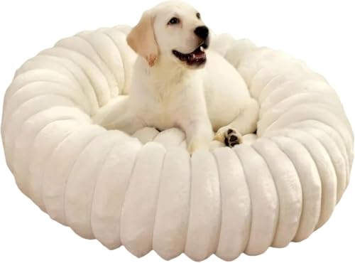  xbh 􂦂 L  xbh ~ g NbV ObY ybgxbh ybgNbV ybg}bg ybg\t@ Eh^ Eh^ ӂ ی^ h[icӂӂ  薰 􂦂 Lbg L ^p ybgpi 