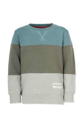 Band of Rascals Kinder Sweatshirt 3C Block aus Bio-Baumwolle, sage-moos,...