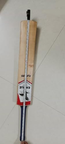 Image of Eagle Leap Super Premium Kasxhmir Willow Doulbe Blade Diamond Scoop Hard Tennis Ball Cricket bat|Light Weight (Blade Thickness 50-60MM) (ELSPX KWDBDS)