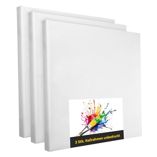 Set di 3 telai da 50 x 70 cm, tela artistica bianca in poliestere, da dipingere, già rivestita, adatta per colori acrilici o tessuti, progetti fai da te per pittori e artisti