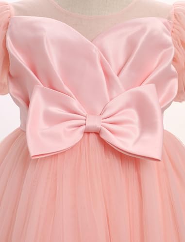 OBEEII Girls Birthday Tulle Dress Toddler Pageant Party Ball Gown Formal Baptism Tutu Dress Cake Smash Photoshoot Outfit4