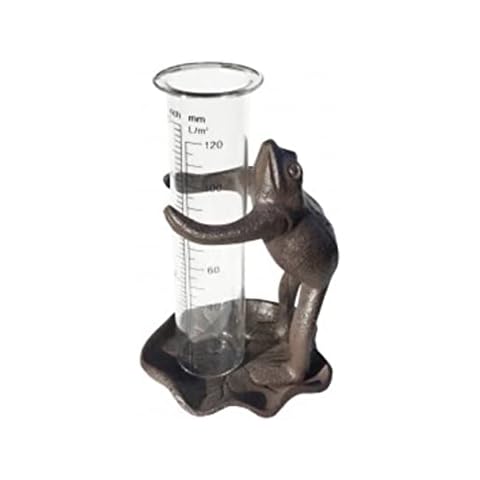 Daisy Bumbles Rain Gauge Frog for the Garden, Patio, Decoration, Ornament Novelty Garden Companion Animal Figure Sculpture Garden Decor-NEXT DAY DELIVERY Cover