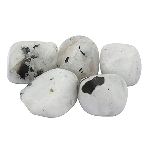 Healing Crystals Rainbow Moonstone Tumbled Stones- Healing Stones and Crystals for Beginners- 5 Piece Real Crystals and Healing Stones - Tumbled Crystals for Witchcraft (5, Rainbow Moonstone)