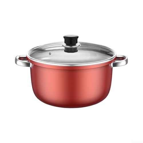 NEIQIUWING Olla de acero inoxidable de 22 cm con tapa de cristal y asas de metal, base plana, utensilios de cocina para cocina de inducción, perfecto para sopas, guisos y guisos