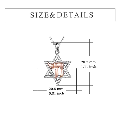 YFN Star of David Necklace Sterling Silver Jewish Christian Jewelry Gifts with 18" Chain3