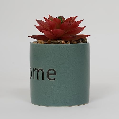 Image of Home Centre Garnet Garden Artificial Succulent Ceramic Planter