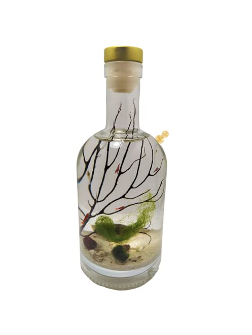 Self Sustaining Semi Enclosed Ecosystem Shrimp Bottle