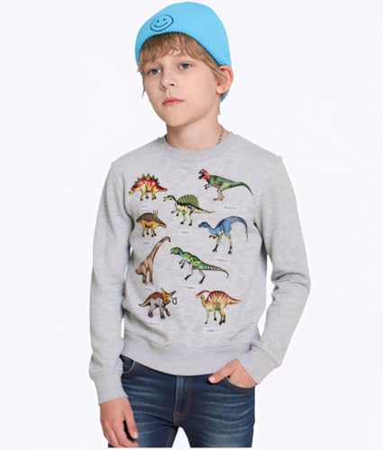 Image of Popshion Toddler Boys Sweatshirts Dinosaur Long Sleeve Pullover Crewneck Shirts Cartoon Tee Sport Tops for Kids 1-8T