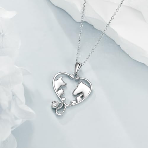 YFN Veterinary Necklace Sterling Silver Vet Techs Pendant Veterinarian Stethoscope Jewelry Gifts for Women3